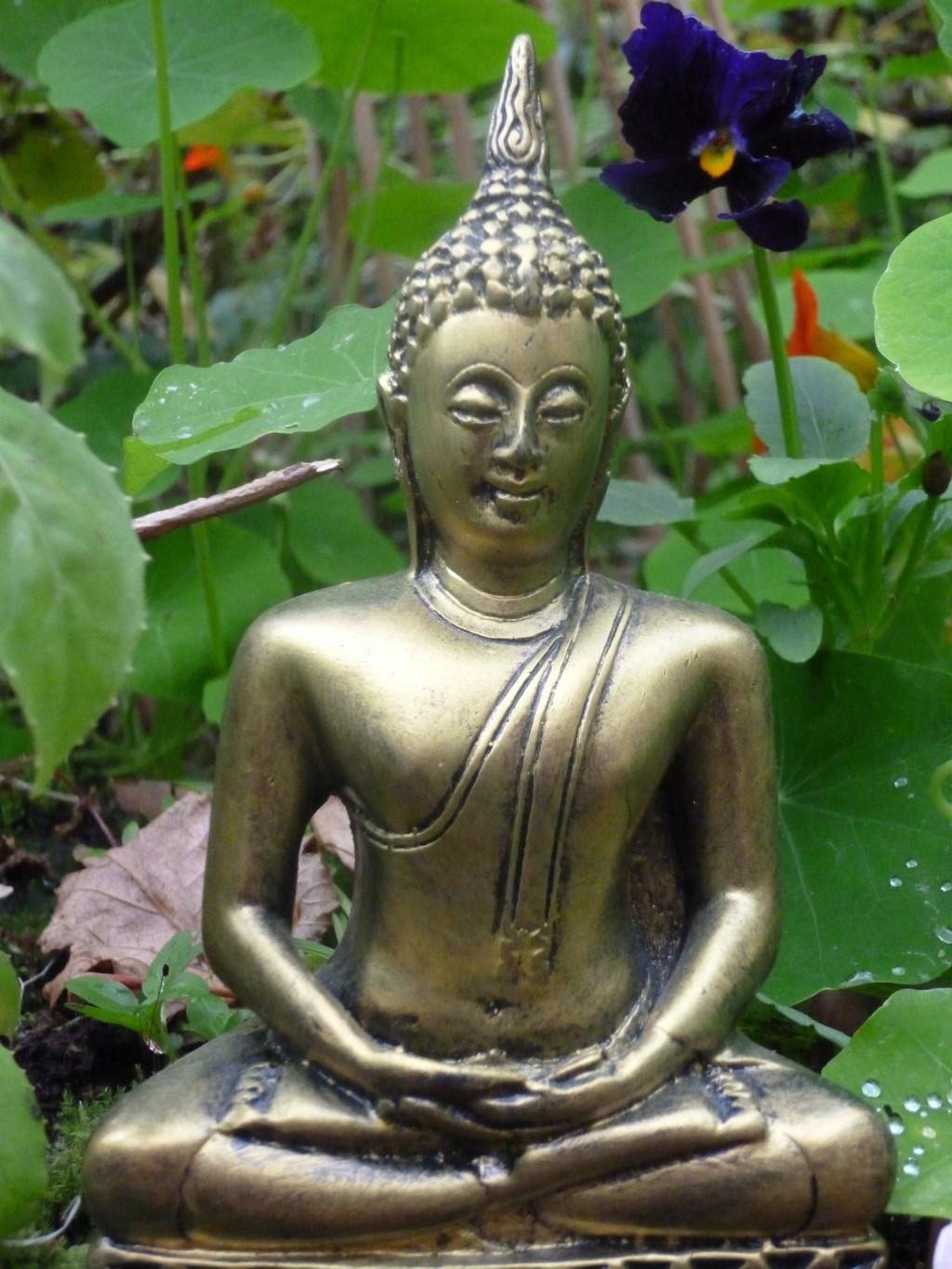 Thai buddha