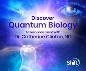 Discover Your Quantum Biology