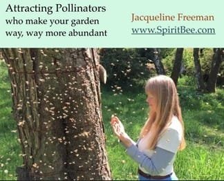 Attracting Pollinators - Jaqueline Freeman