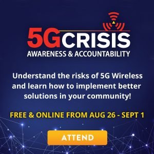 The 5G Crisis